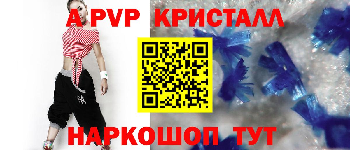 A PVP СК КРИС Вольск