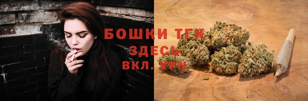 ПСИЛОЦИБИНОВЫЕ ГРИБЫ Кущёвская