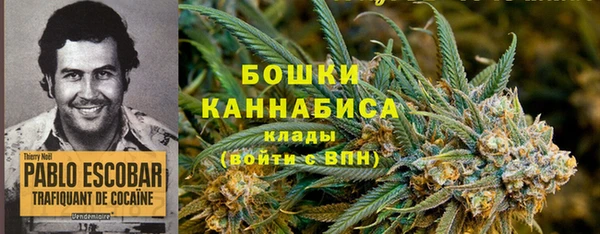 дживик Протвино