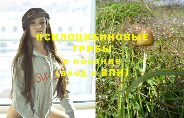 дживик Протвино