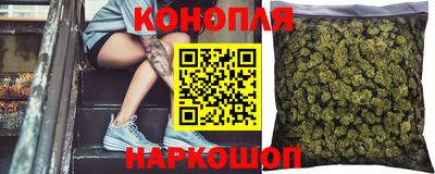ешки Бийск