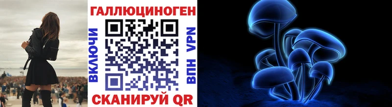 купить  цена  Вольск  Галлюциногенные грибы Cubensis 