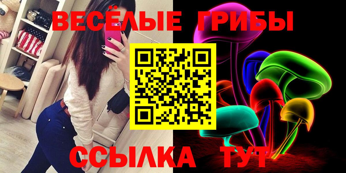 Галлюциногенные грибы Cubensis Вольск