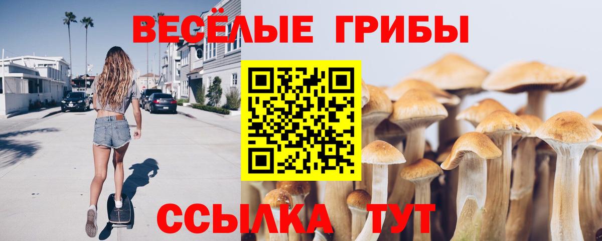 Гарик  Вход с VPN  НБОМе  МЕФ  Вольск  Меф  Кокаин  МДМА 